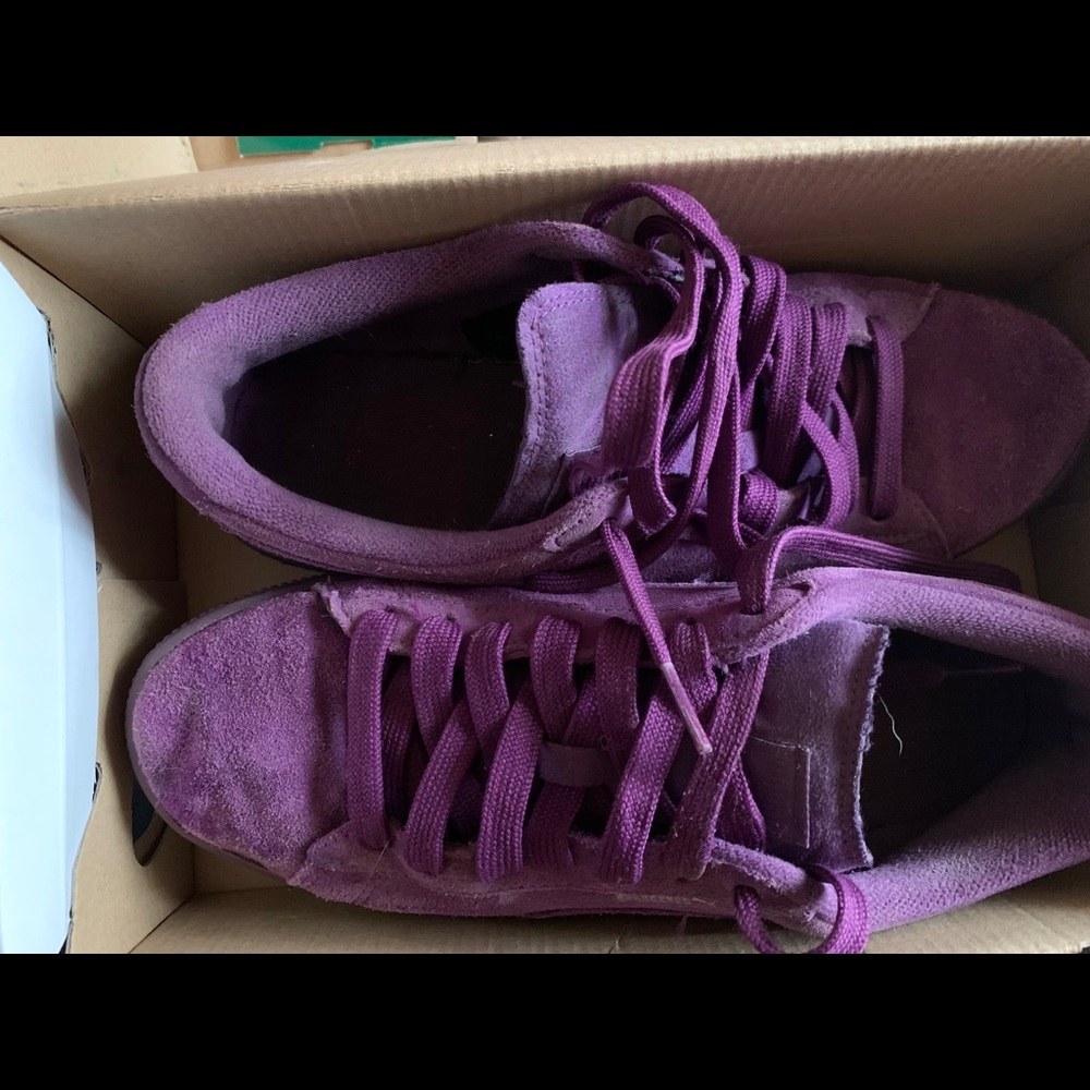 pumas